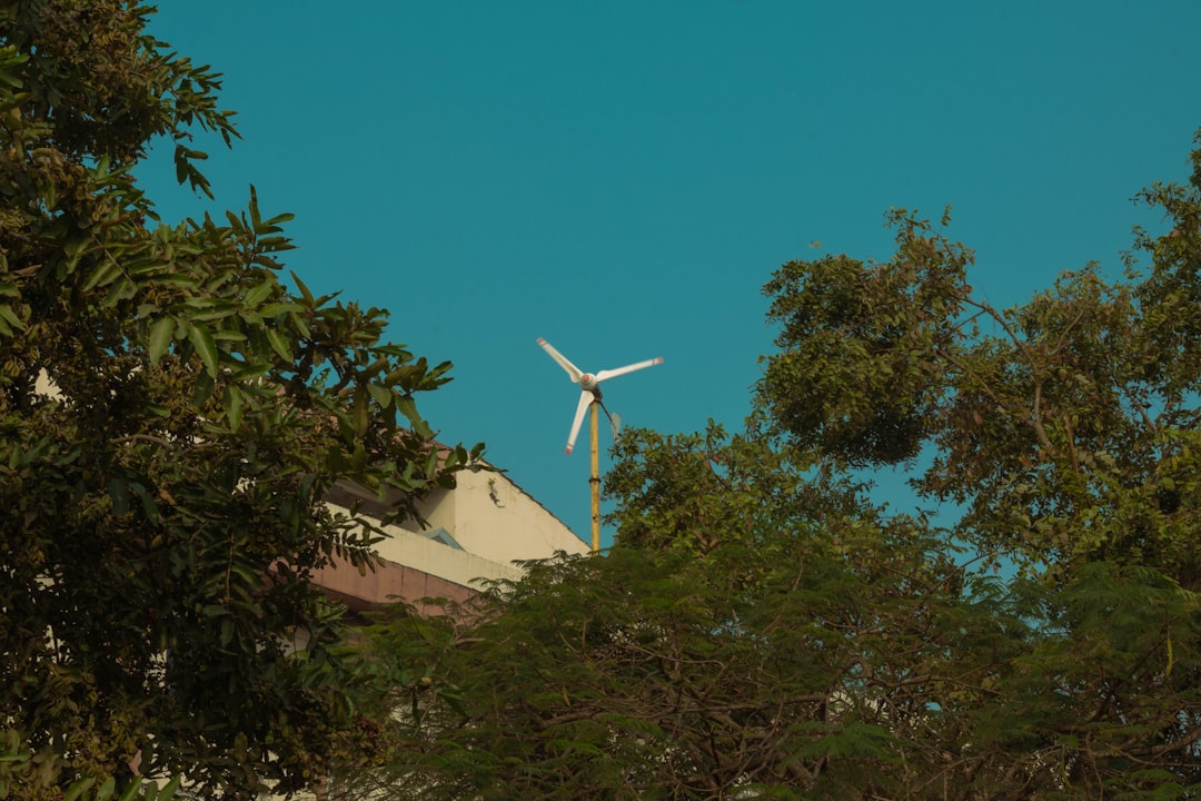 a-wind-turbine-is-seen-through-the-trees-wbhszhefosg