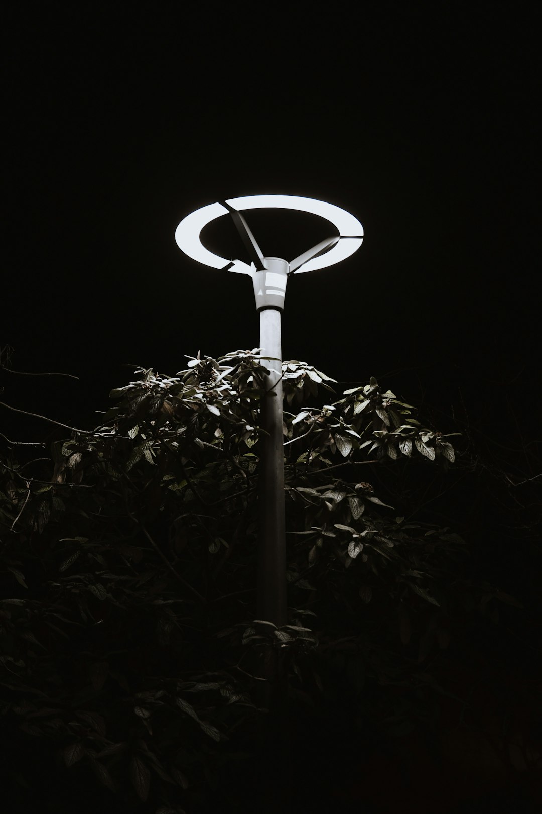 white-and-black-street-light-ze7ytfeozaw